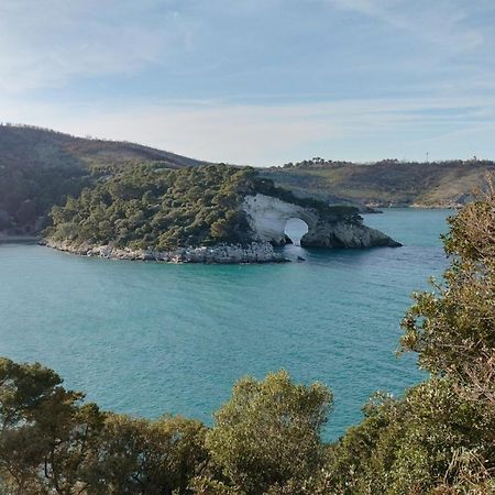 B&B Casa Desimio Vieste Dış mekan fotoğraf